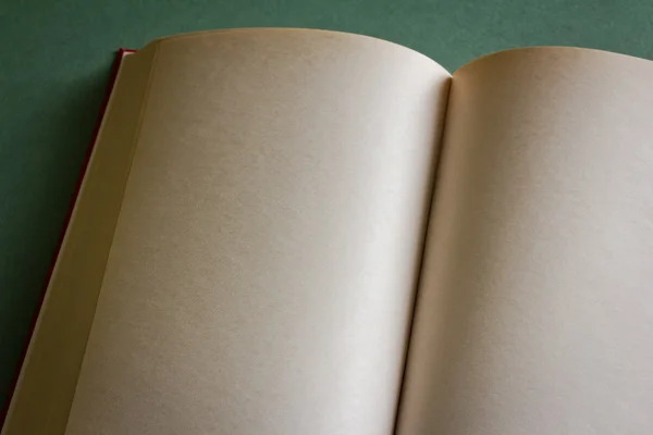 Apri il libro invecchiato con pagine chiare per il tuo testo — Foto Stock