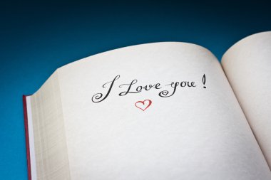 mavi arka plan ile açık kitap kelimelerle seviyorum. kavram ilanı Kartpostalı için iyi love.also için.