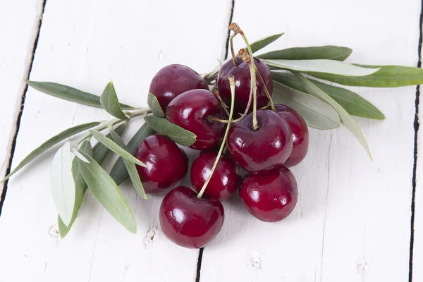 Cerezas aisladas — Foto de Stock