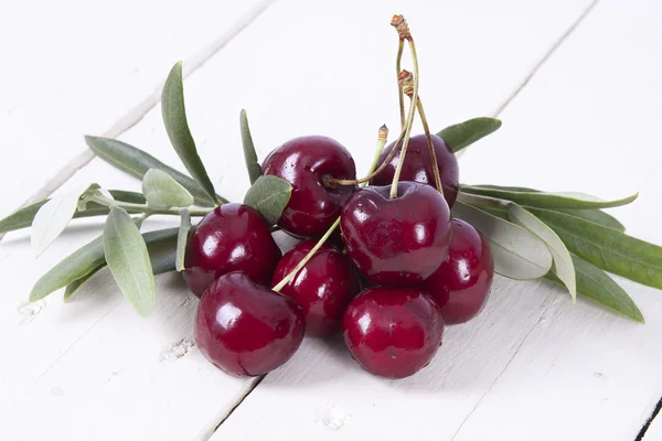 Cerezas aisladas —  Fotos de Stock