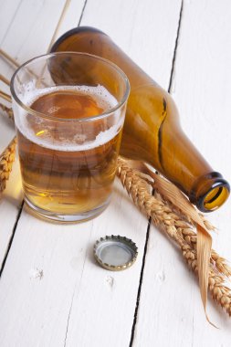 Beer isolated