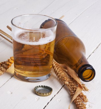 Beer isolated