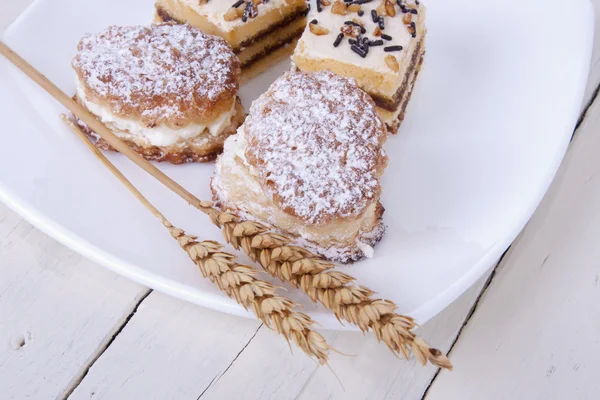 Kuchen isoliert — Stockfoto