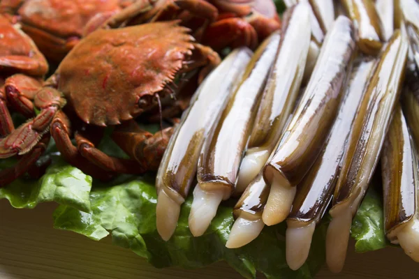 Izole deniz ürünleri — Stok fotoğraf