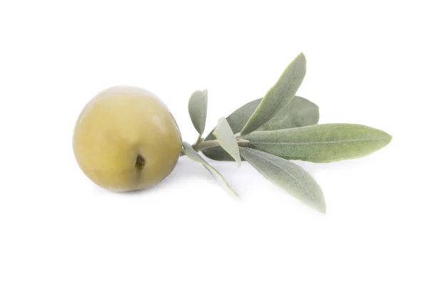 Olives and oi bottle — Stock Photo, Image