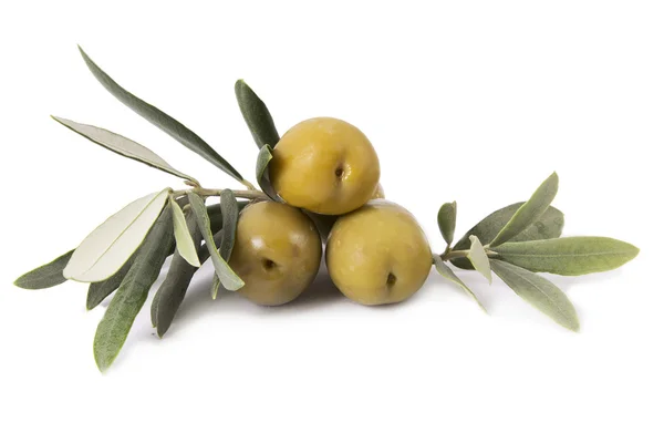 Olivy a oi láhev — Stock fotografie