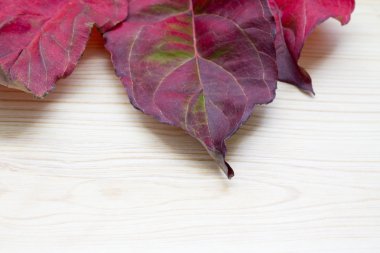 Ahşap arkaplanda yaprak