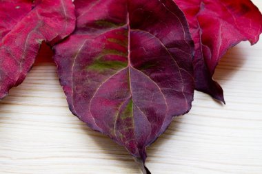 Ahşap arkaplanda yaprak