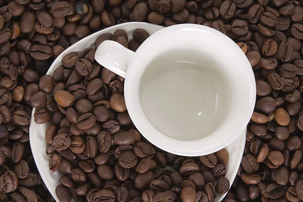 Taza con granos de café — Foto de Stock