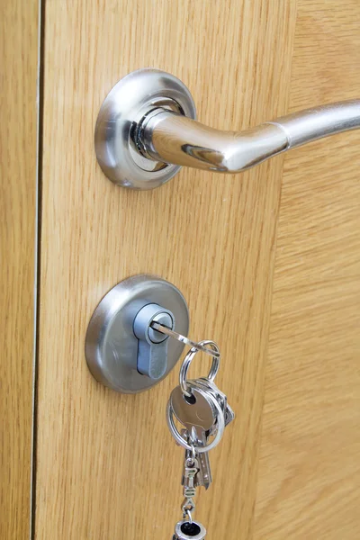 Door with lock and handle — Stock Photo, Image