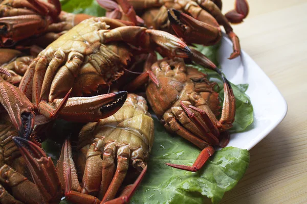 Mariscos aislados — Foto de Stock