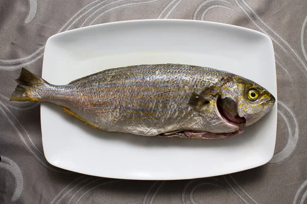 Свежая рыба на тарелке — стоковое фото