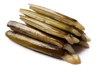 izole deniz ürünleri