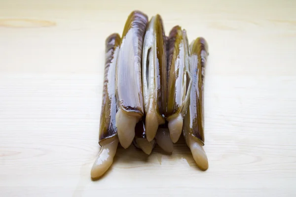 Seafood isolated — Stock Photo, Image