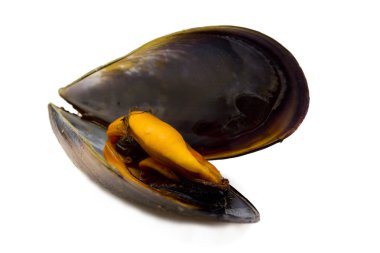izole deniz ürünleri
