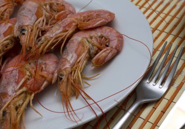 izole deniz ürünleri