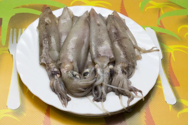 Seafood isolated — Stock Photo, Image
