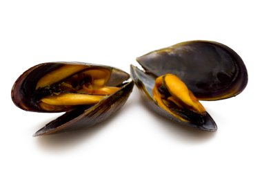 izole deniz ürünleri