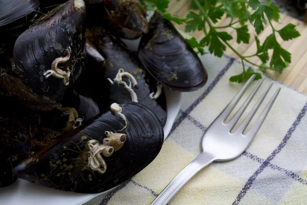 Frutos do mar isolados — Fotografia de Stock