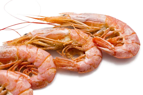 Seafood isolated — Stock Photo, Image