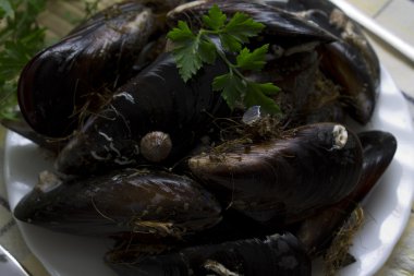 izole deniz ürünleri