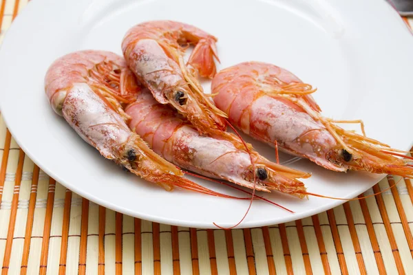 Seafood isolated — Stock Photo, Image