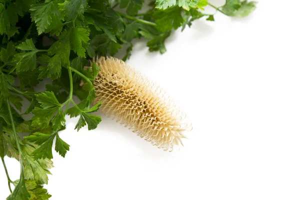 Parsley isolated — Stock Photo, Image