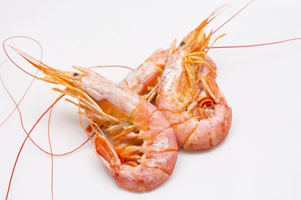 Seafood isolate — Stock Photo, Image