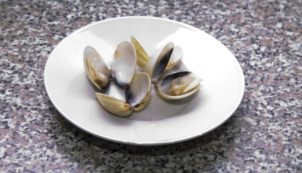 Vongole sul piatto — Foto Stock