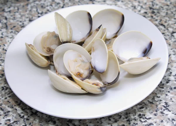 Clams on the plate — Stock Photo, Image