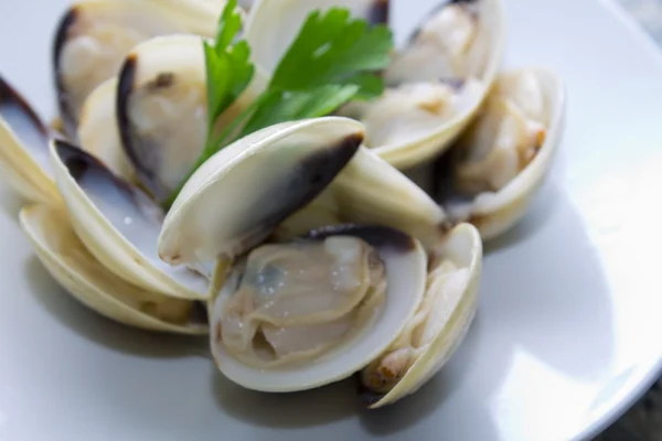 Almejas en el plato — Foto de Stock