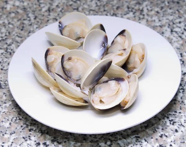 Моллюски на тарелке — стоковое фото