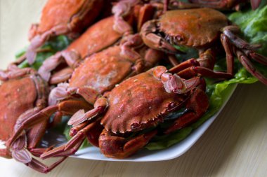 izole deniz ürünleri