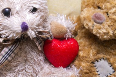 Sevgililer günü kartı