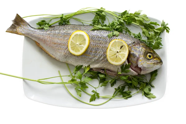 Pescado en plato —  Fotos de Stock