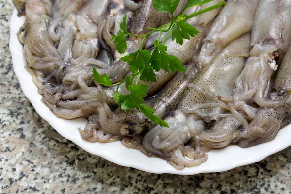Calamari freschi in piatto — Foto Stock