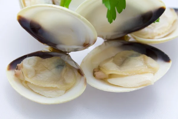 Vongole con prezzemolo — Foto Stock