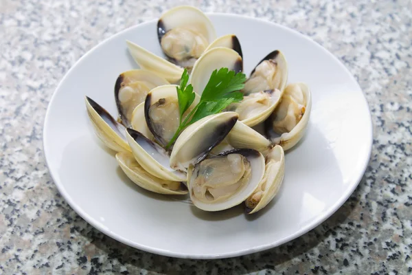 Vongole con prezzemolo — Foto Stock