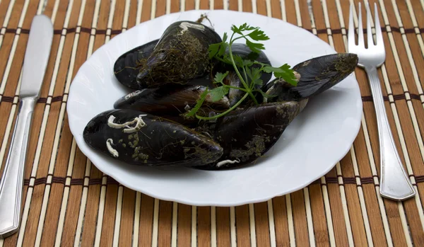 Mussels on dish — Stock Photo, Image