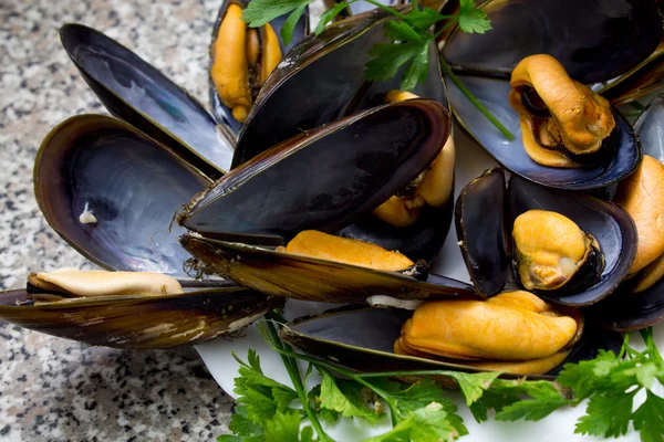 Cozze su piatto — Foto Stock