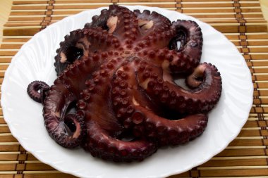 Octopus tablodaki
