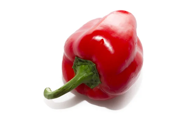 Röd paprika isolerade — Stockfoto