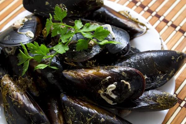 Mejillones en el plato —  Fotos de Stock