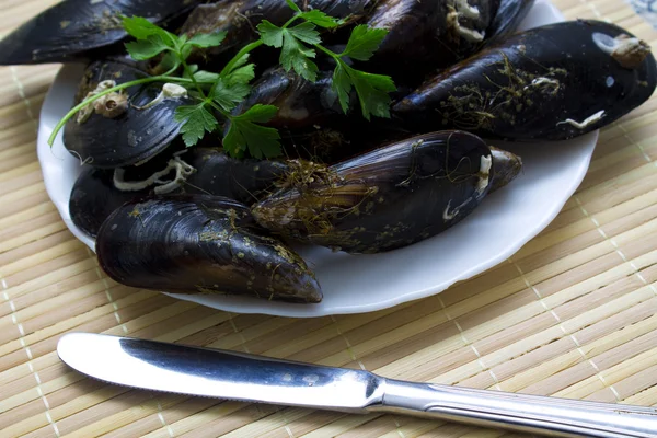 Mejillones en el plato — Foto de Stock