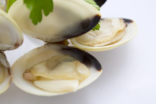 Vongole nel piatto — Foto Stock