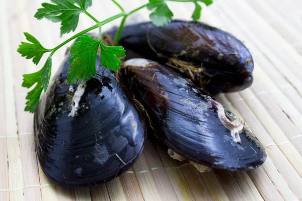Mussels in the table — Stock Photo, Image