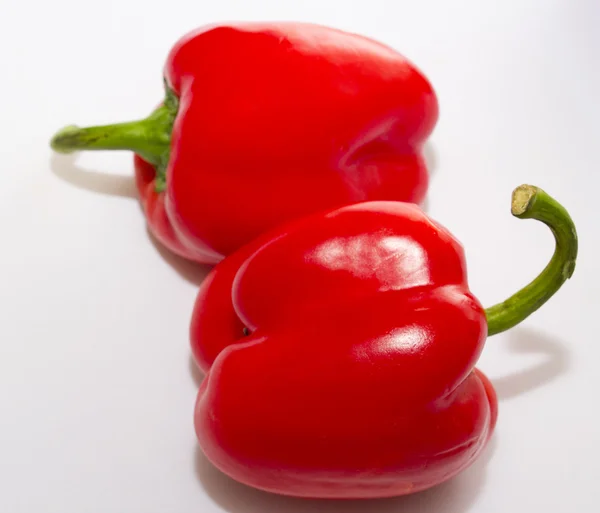 Peppers isolated — Stock Photo, Image