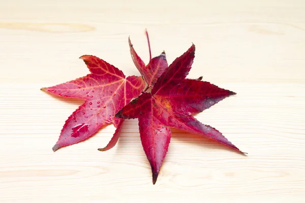 Leaf on wood background — Stock Photo, Image