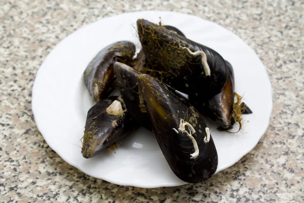 Välsmakande musslor — Stockfoto