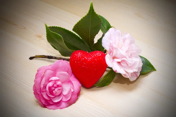 Camellias con corazón — Foto de Stock